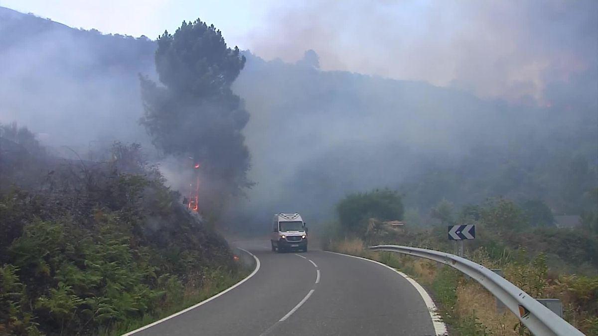 Galicia inicia su campaña de prevención de incendios forestales