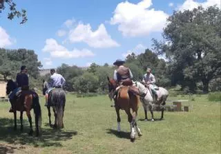 Tábara regula el aprovechamiento de los pastos comunales de la Sierra de la Culebra