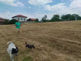 Última hora del incendio en Grado: la zona norte está controlada y en el área sur habrá drones para localizar puntos calientes