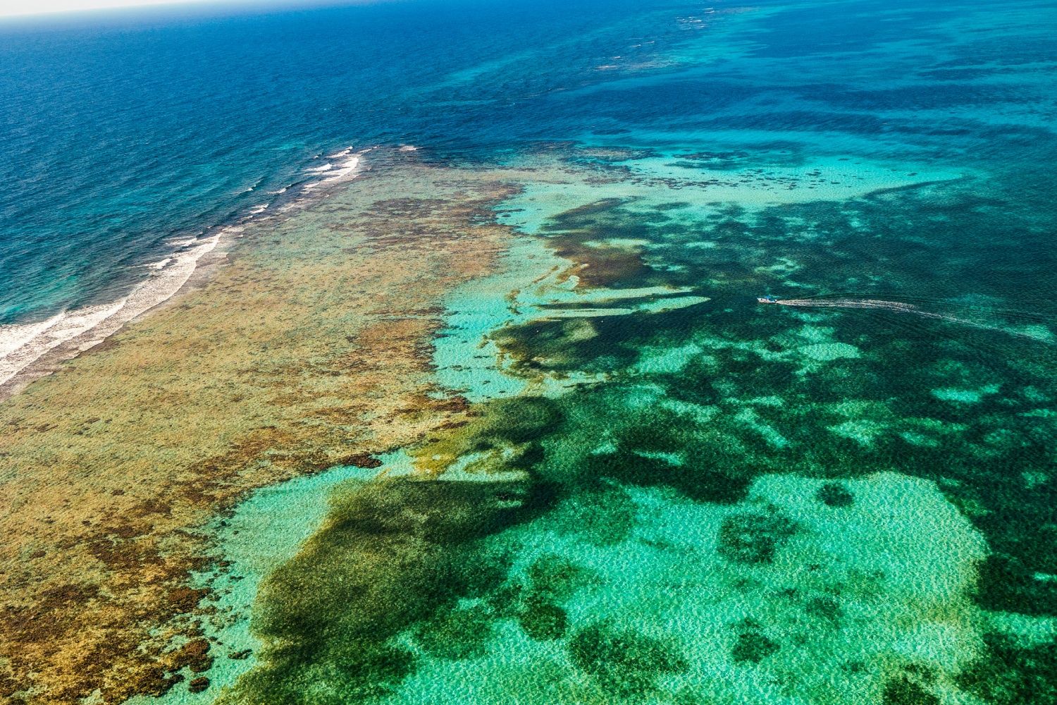 Arrecifes en Belice.