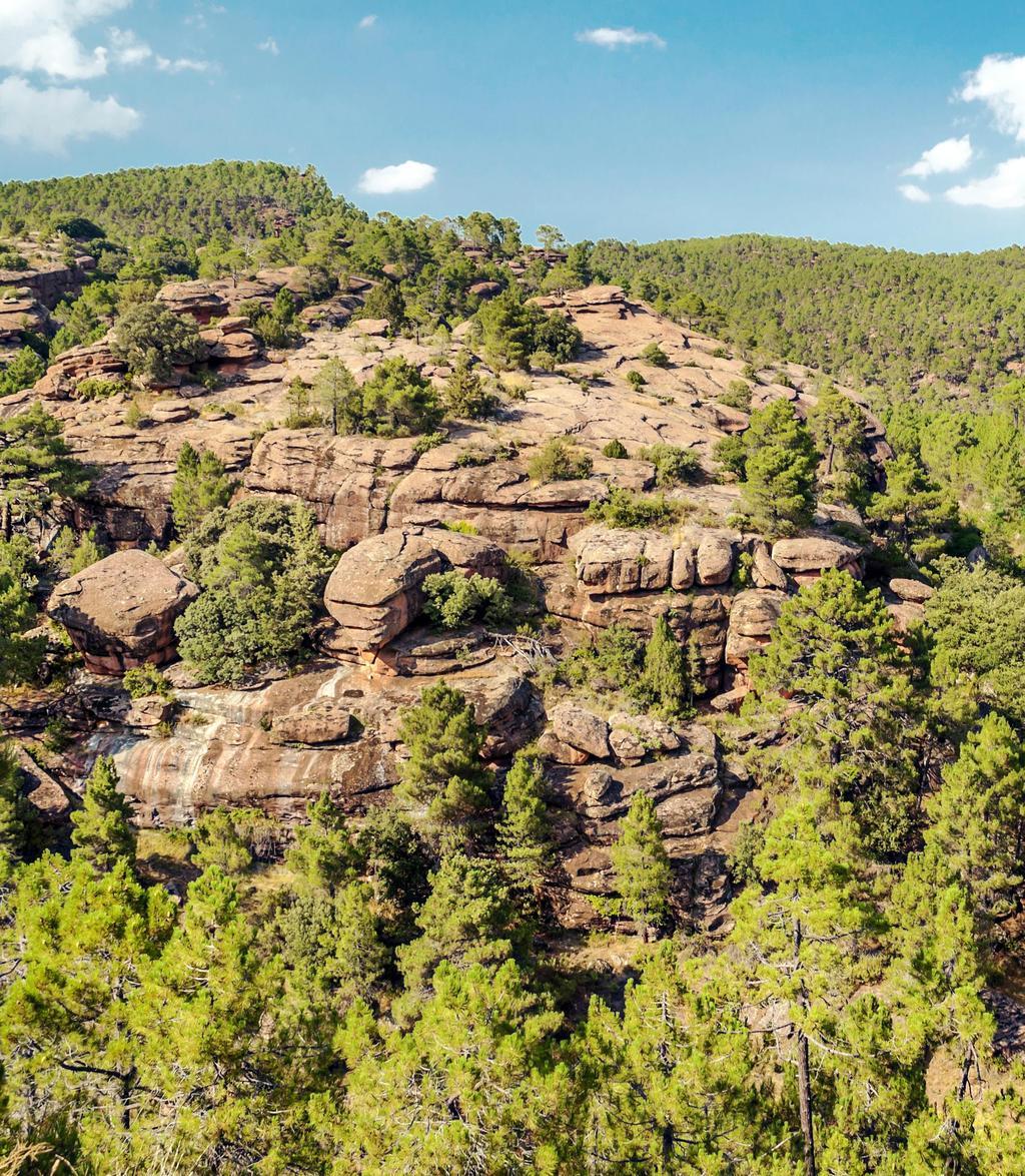 La sierra de Albarracín cuenta con el paisaje protegido de los Pinares de Rodeno.
