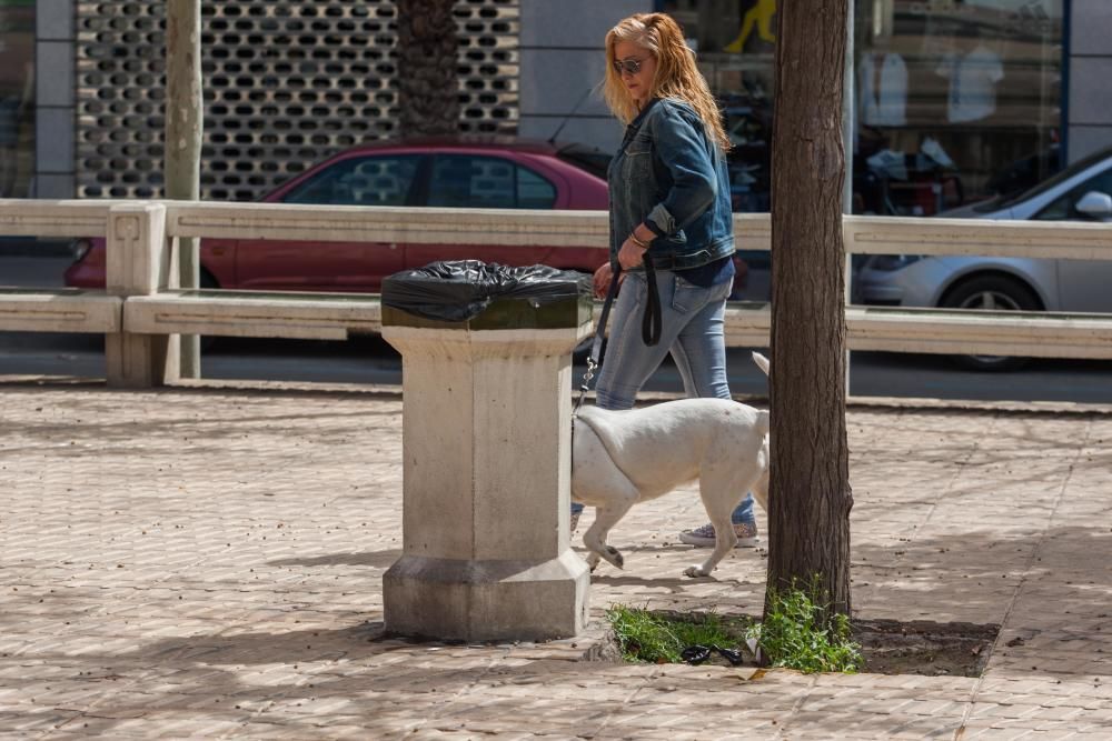 Vecinos de la avenida de la Libertad critican la falta de inversión en el mobiliario.