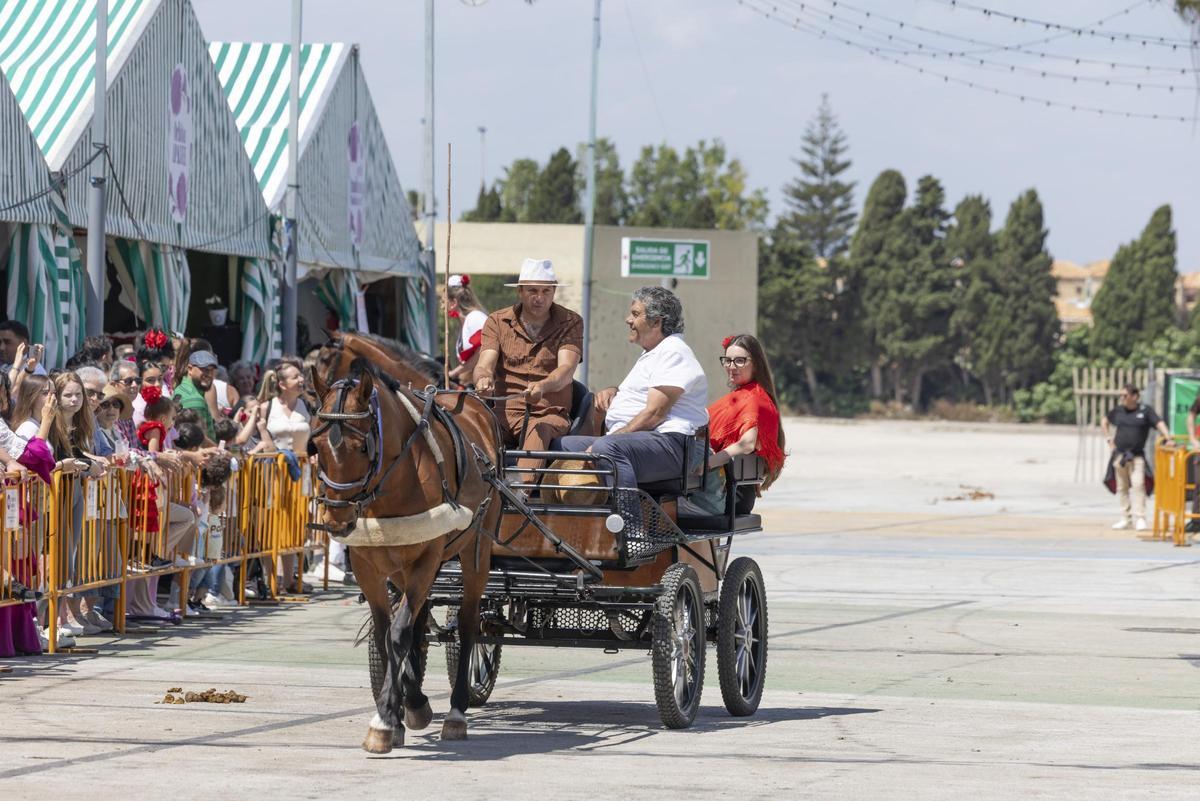 Desfile de carrozas y caballistas de la Feria de Mayo 2026 de Torrevieja este domingo