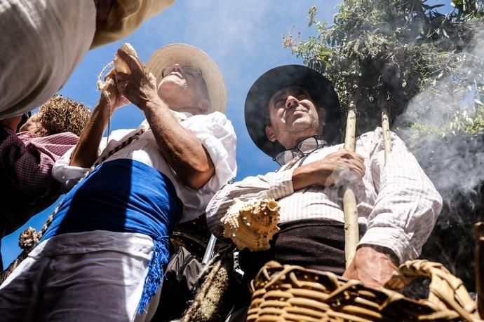 Santa María de Guía.  Procesión y romería de Las Marias  | 15/09/2019 | Fotógrafo: José Carlos Guerra