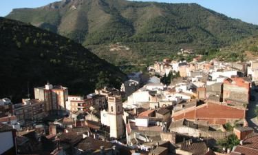 Los pueblos más pequeños de la Comunitat Valenciana han ganado vecinos