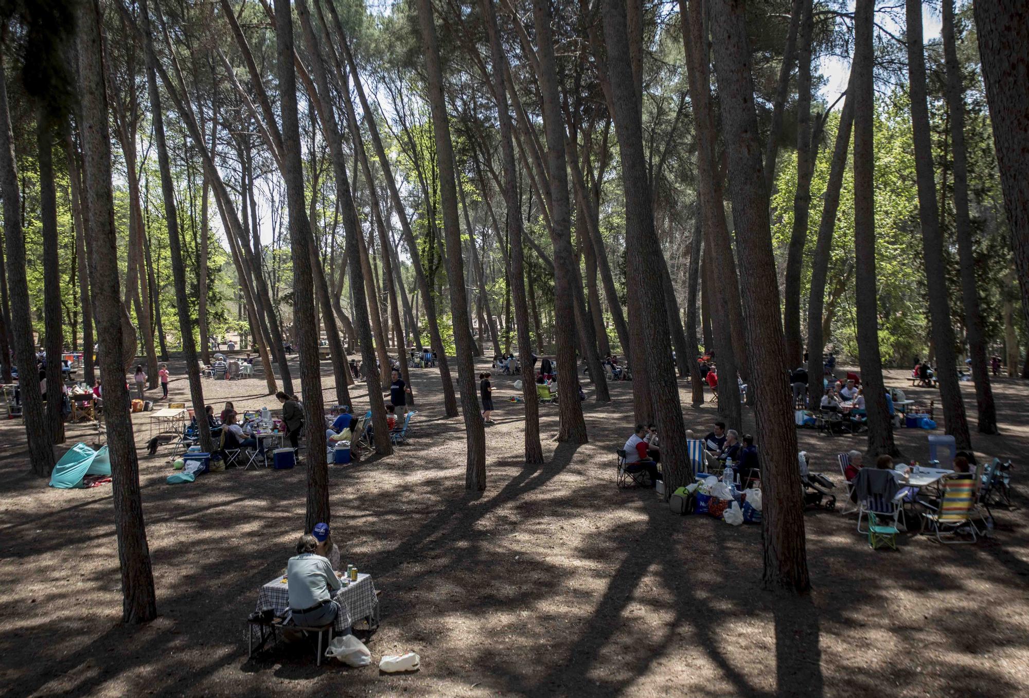 El Parc d San Vicent de Lliria vuelve a llenarse de familias dos años depués