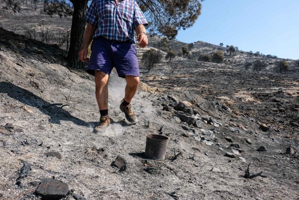 Así ha quedado la zona tras el incendio.