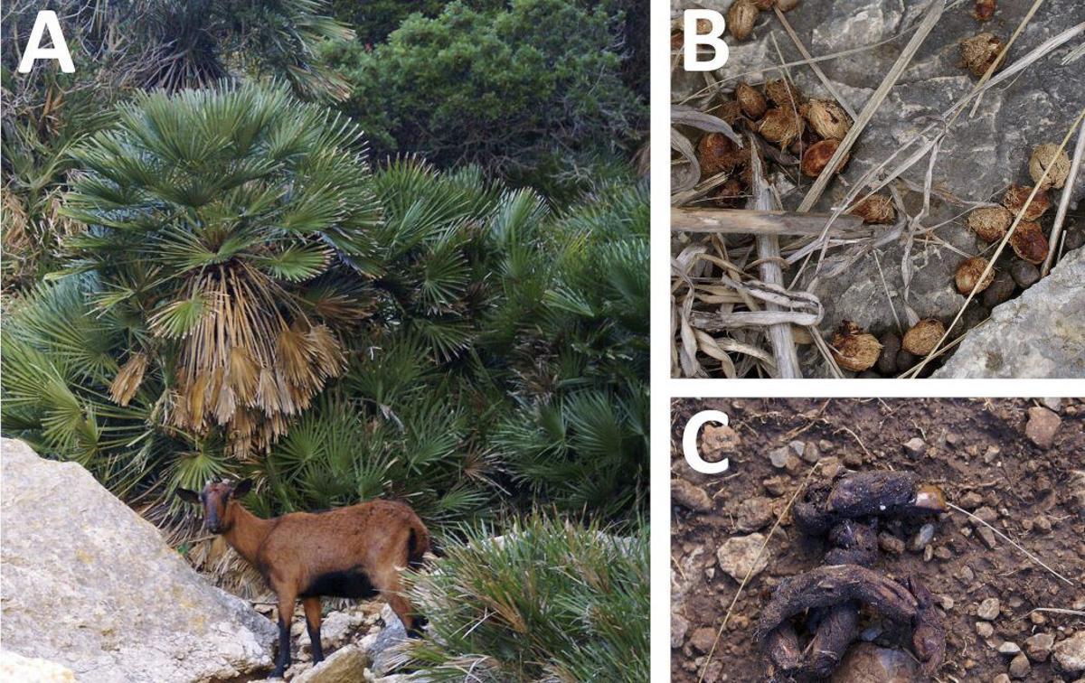 Imágenes tomadas durante el trabajo de campo.