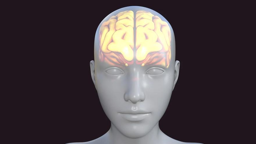 El cerebro emite un tenue resplandor que intriga a los científicos