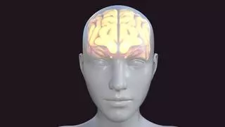 El cerebro emite un tenue resplandor que intriga a los científicos