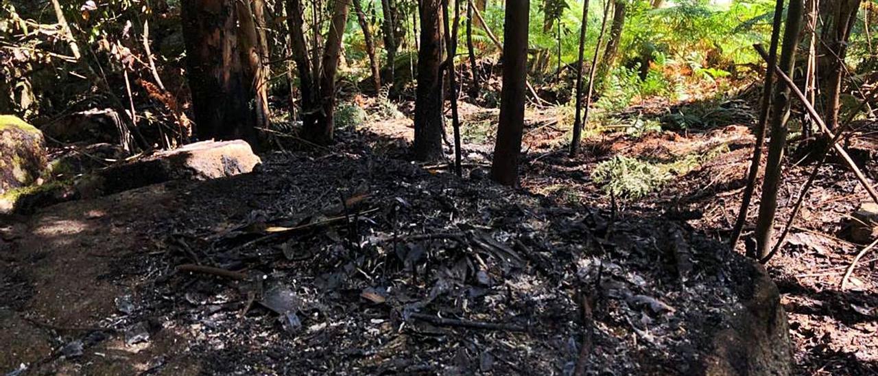 El lugar donde se registró el incendio, en la aldea de Nerga.