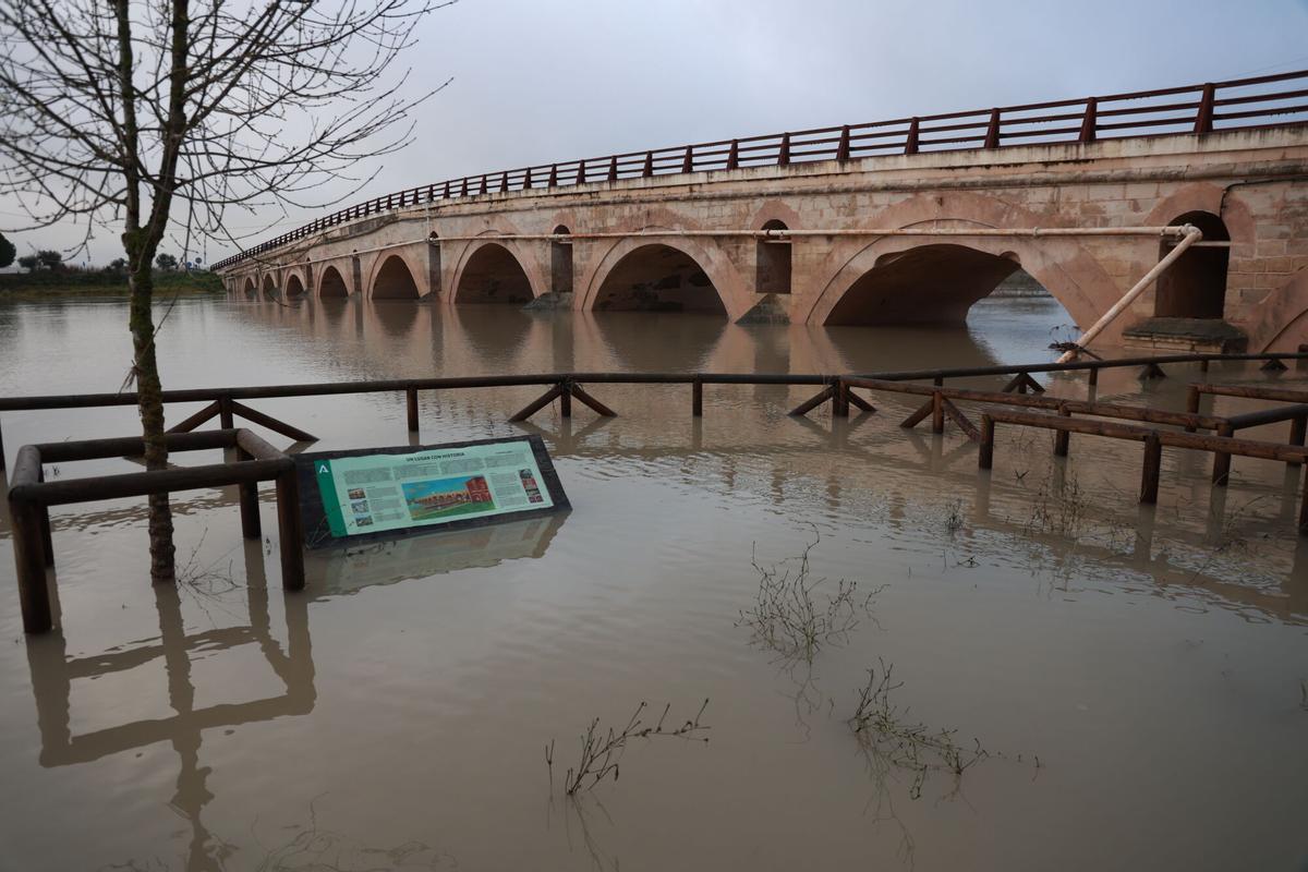 Una de las zonas mas afectadas por inundaciones en el término municipal de Jerez de la Frontera