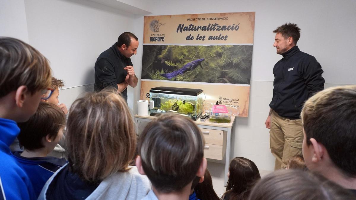 Participants del projecte de Bioparc València durant la reintroducció dels ofegabous al seu hàbitat natural.