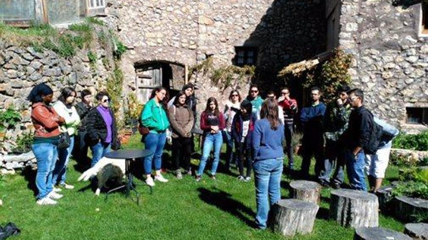 El Consell facilitarà a 15 joves la inserció al primer sector a través de l&#039;Agrotreballa