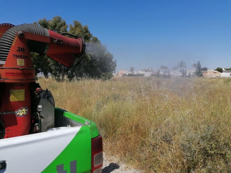 El Ayuntamiento despliega un plan de choque contra los mosquitos que este año es más intensa tras un largo periodo de lluvias primaverales que ha anegado las orillas de la laguna de Torrevieja