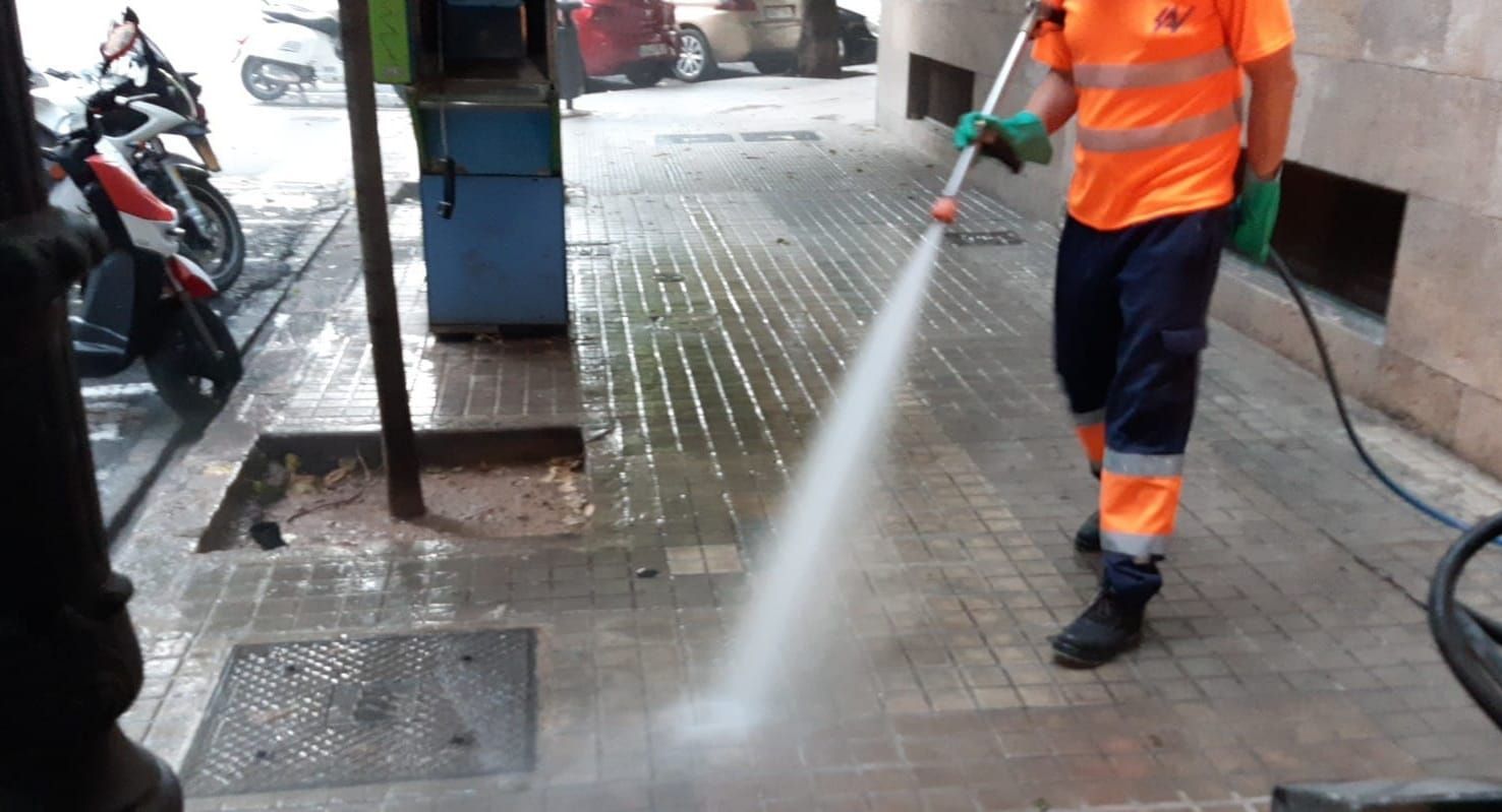 Dos operativos de limpieza en marcha en los barrios de València afectados por el cotonet y el botellón