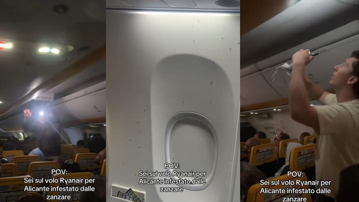 Tres imágenes del vídeo que muestra la invasión de mosquitos en la cabina de un vuelo de Ryanair con destino Alicante.