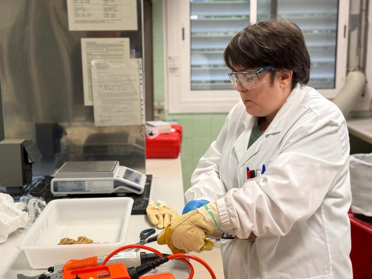 Una trabajadora del Laboratori Agroalimentari de Cabrils examina una muestra de un alimento para mascotas llegada de un país tercero.