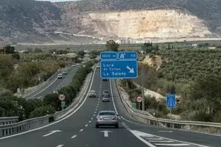 Adjudicada la "revegetación" de las autovías de Andalucía occidental con 4.200 plantas y arbustos