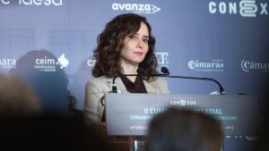 La presidenta de la Comunidad de Madrid, Isabel Díaz Ayuso.