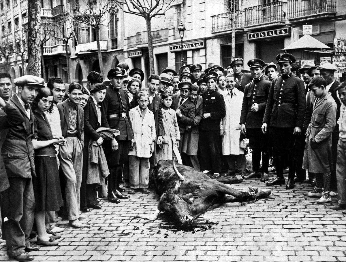 Año 1933, calle de la Diputació. Una vaca se desvía de su camino al matadero municipal y termina muerta a balazos por los agentes del orden.