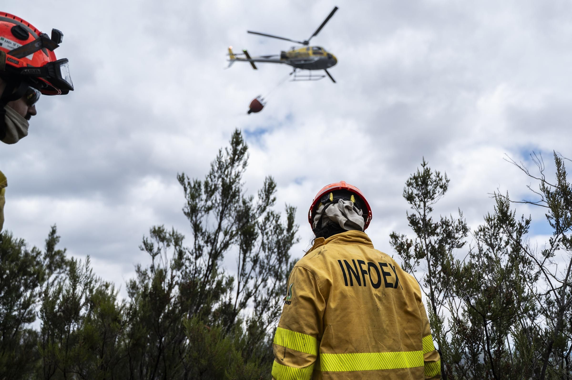 Las imágenes del incendio de este viernes en Cáceres
