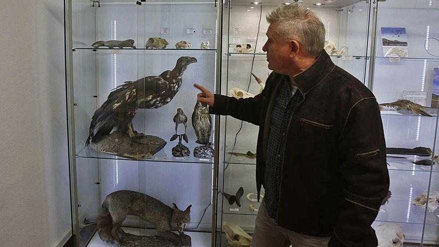 El museo de ciencias dejará alguna colección en Alginet tras su traslado