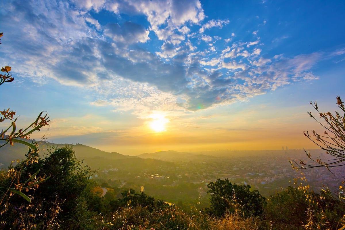 Collserola