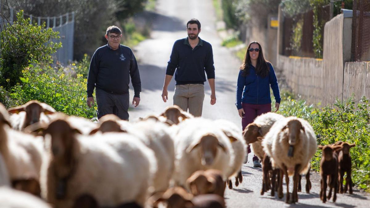 Dos jóvenes de la península han pasado una semana en la finca de Son Jover.