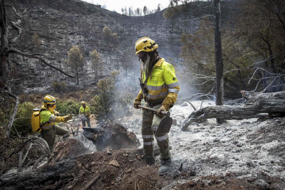 Incendio forestal en Carcaixent