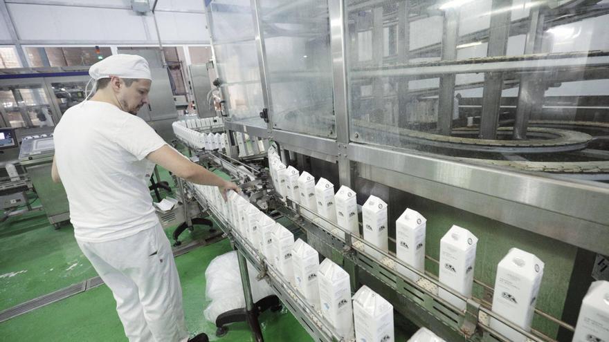 Distribuidores de leche cancelan su oferta en granjas afectadas por la reducción de compra de Agama