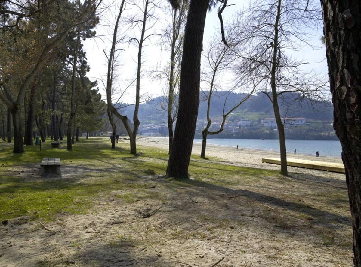 Playa de la Magdalena