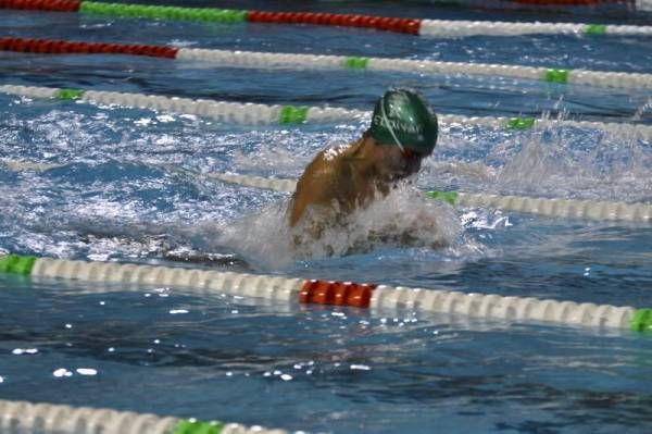 Trofeo San Silvestre El Olivar de natación