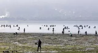 El sector marisquero está convocado a manifestarse el próximo 30 de abril