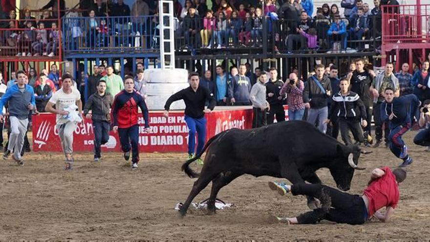 El hierro de la Paloma retoma el concurso de ganaderías en Onda