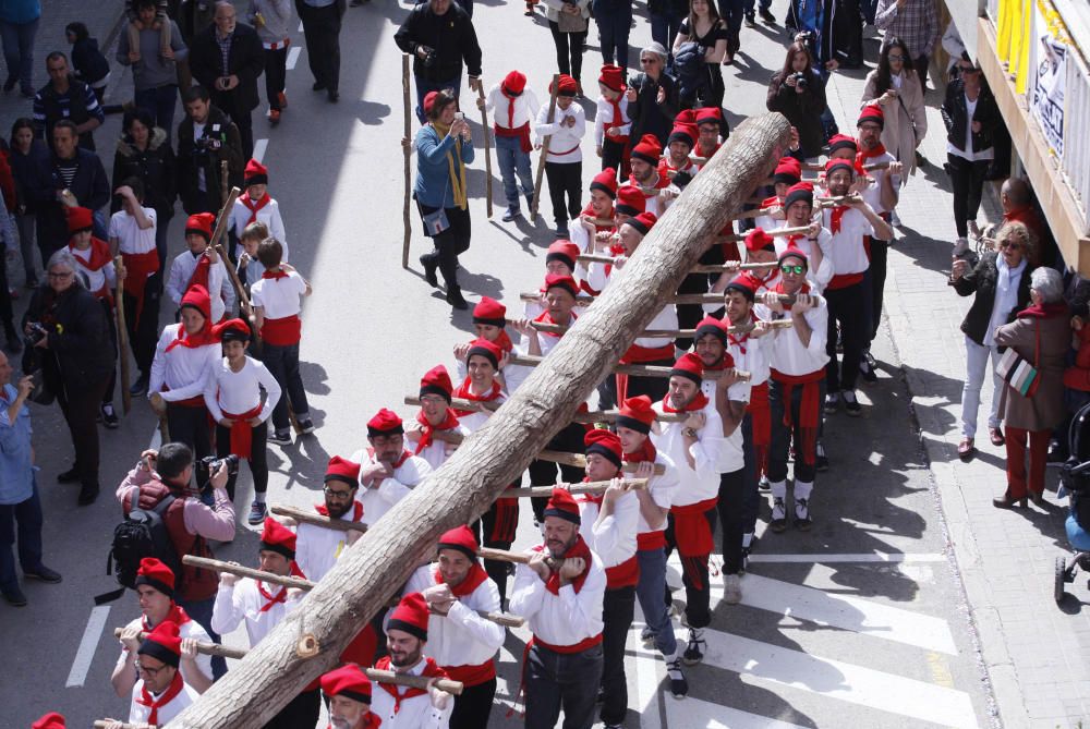 Cornellà del Terri celebra la plantada de l'Arbre i el Ball del Cornut