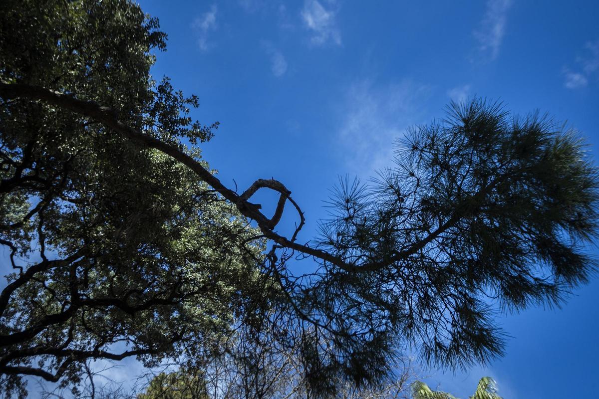 Jardines de la Glorieta