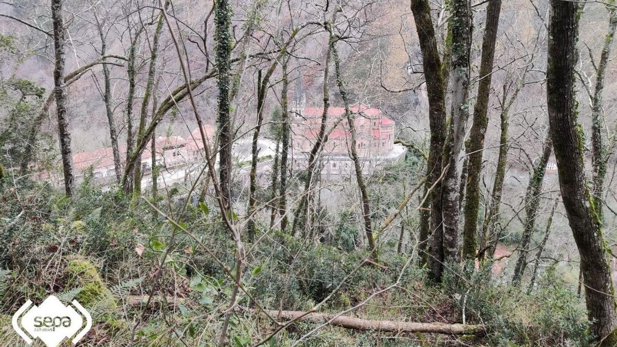 La zona donde fueron rescatados los dos senderistas, con Covadonga al fondo. | SEPA