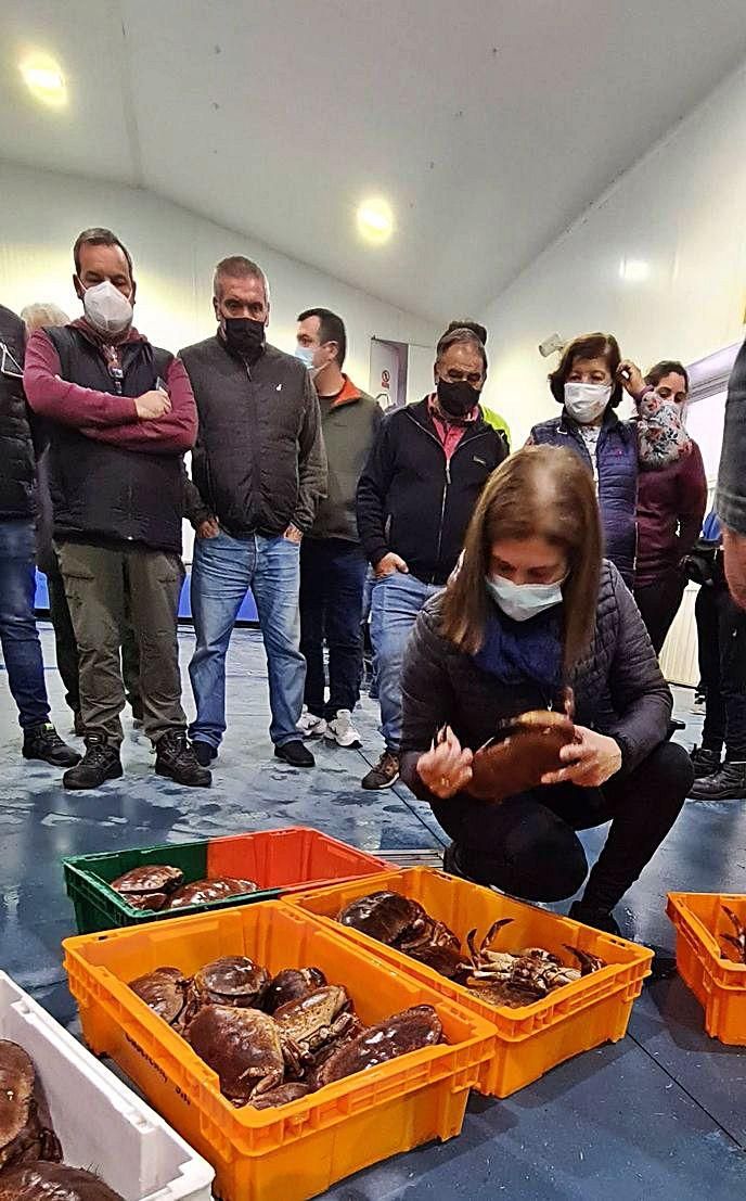 Blanca Cao, una conocida pescadera de O Grove, revisa el buey que acaba de comprar, en la lonja.