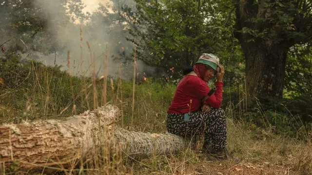 Los incendios avanzan sin control en Galicia y calcinan una superficie igual a cuatro veces A Coruña