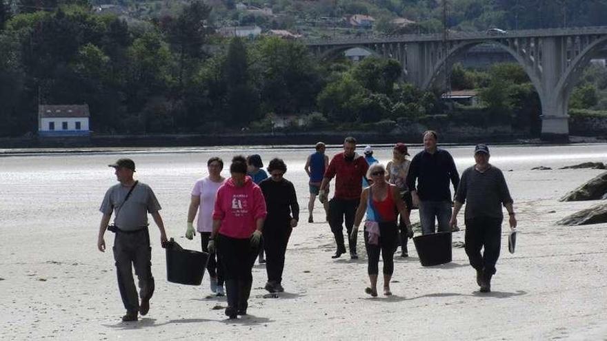 Los voluntarios, en una jornada de limpieza de la playa de O Pedrido.