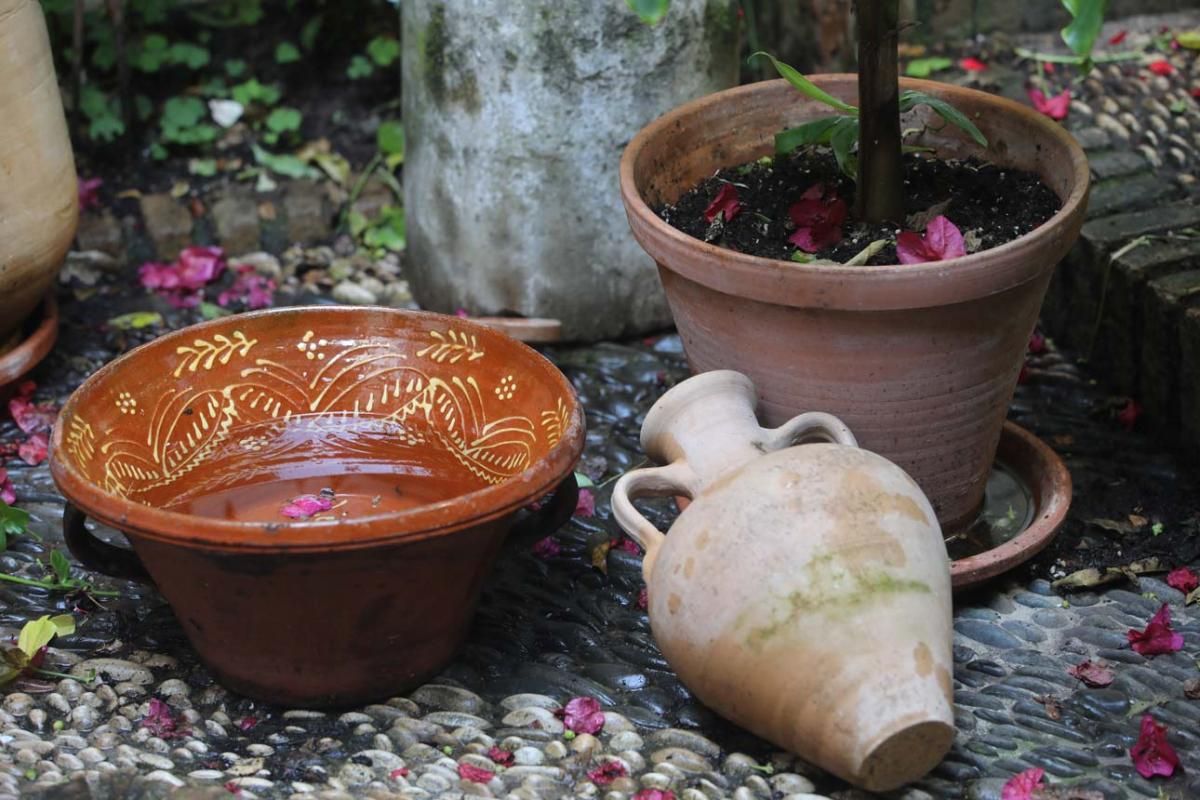 Los Patios de Córdoba. Santa Marina