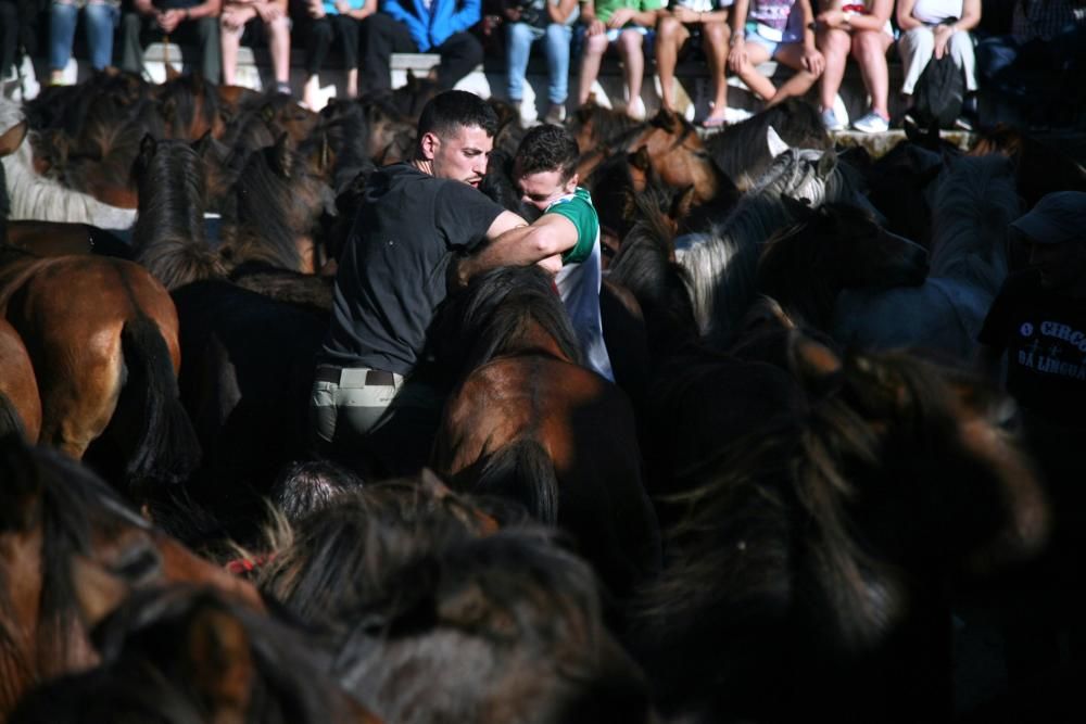 Más de quince "aloitadores" raparon a cerca de 200 caballos en el primer curro de Sabucedo