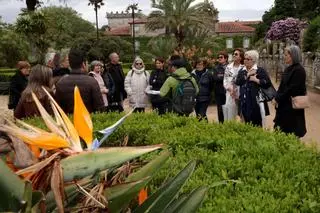 Una colección botánica digna de visita