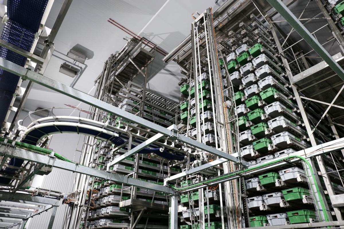 Instalaciones logísticas de una planta de Familia Martínez, en una imagen de archivo.