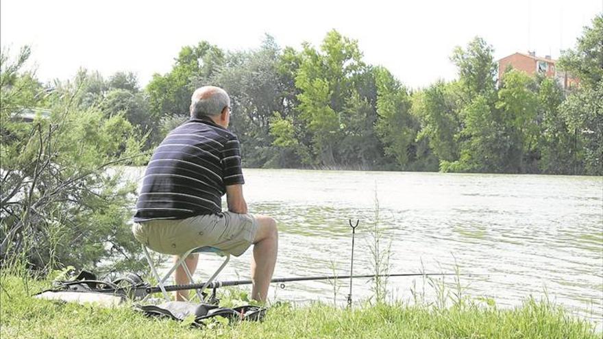 El plan de pesca exige el sacrificio de todas las especies invasoras