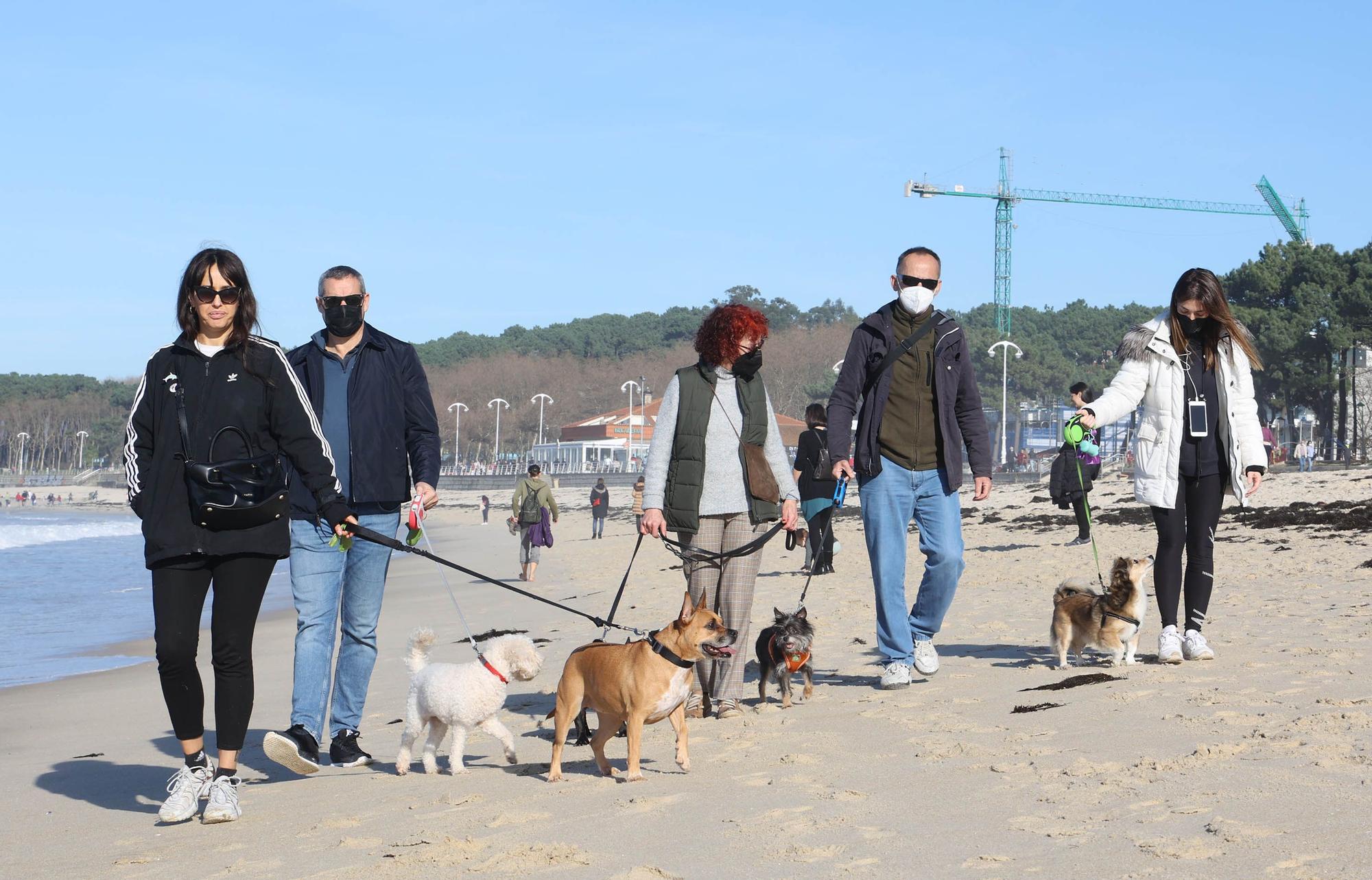 Vigueses y mascotas disfrutan del buen tiempo en Samil