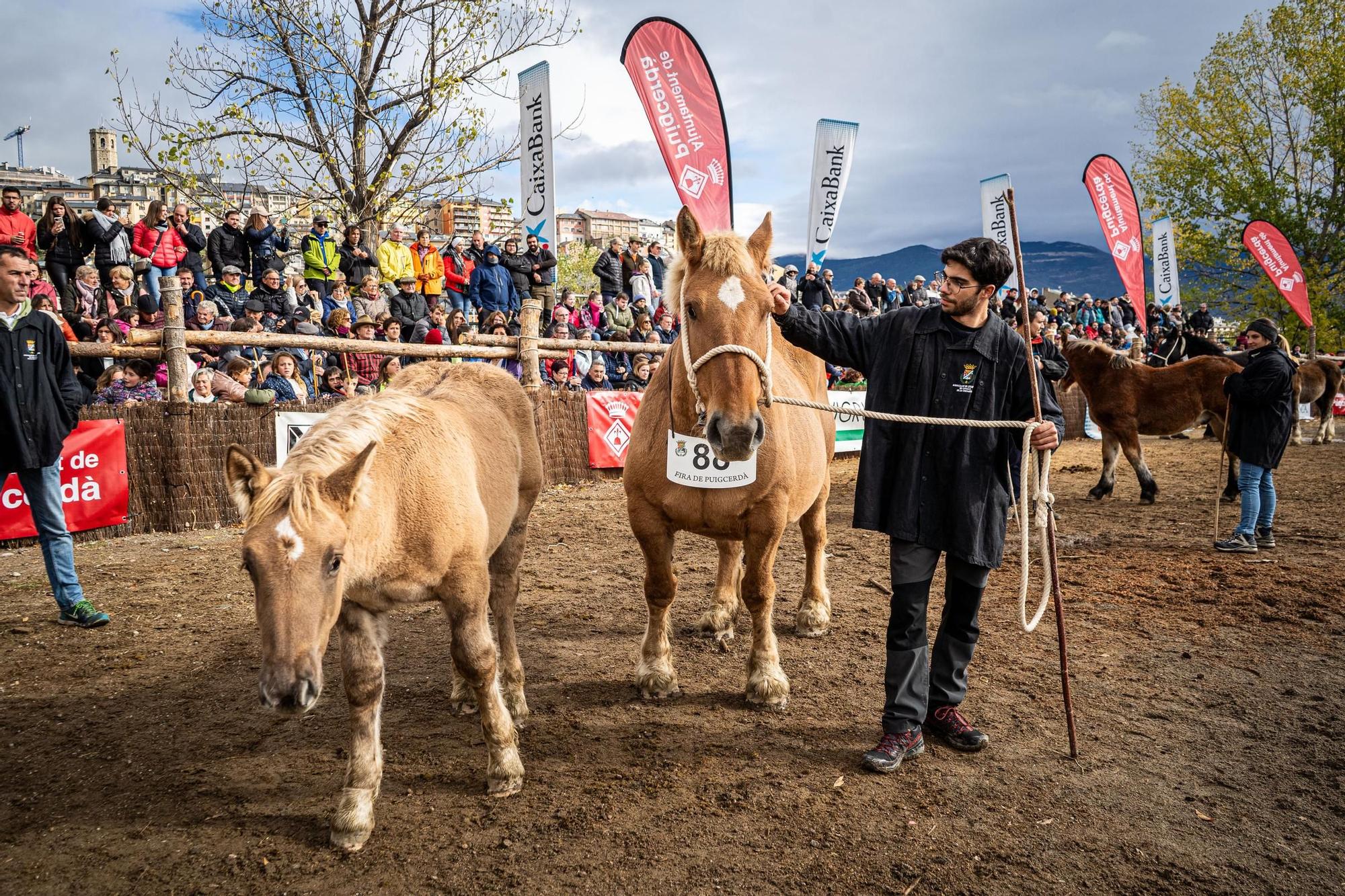 Totes les imatges de la Fira del Cavall de Puigcerdà