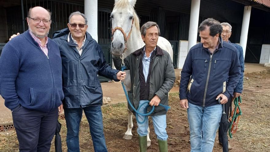 San Fernando recupera su feria ganadera en Cáceres