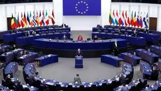 El Parlamento europeo acuerda exigir a las grandes empresas mitigar su impacto ambiental y social